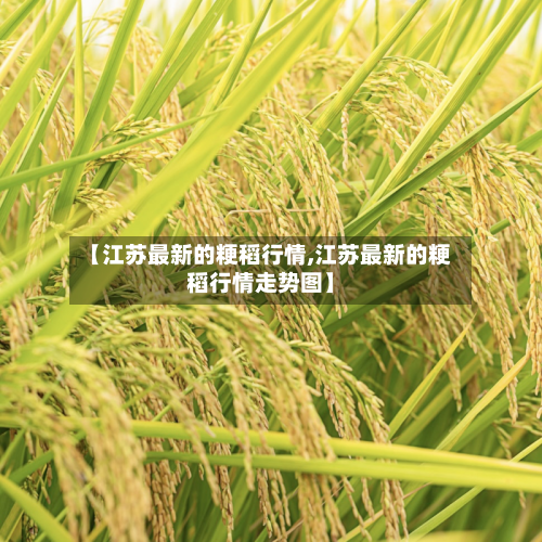 【江苏最新的粳稻行情,江苏最新的粳稻行情走势图】