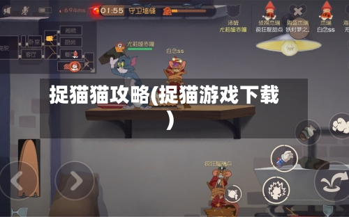 捉猫猫攻略(捉猫游戏下载)