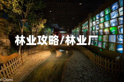 林业攻略/林业厂-第3张图片
