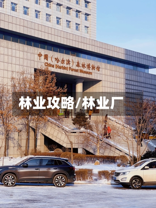 林业攻略/林业厂
