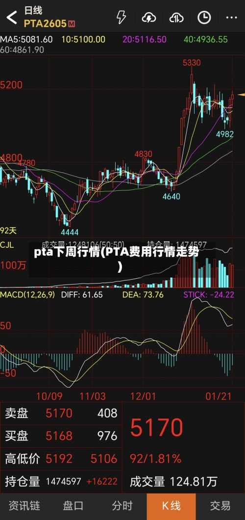 pta下周行情(PTA费用行情走势)