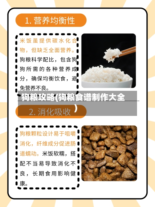 狗粮攻略(狗粮食谱制作大全)