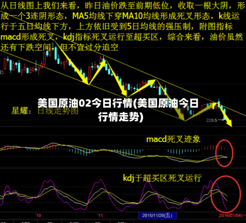 美国原油02今日行情(美国原油今日行情走势)