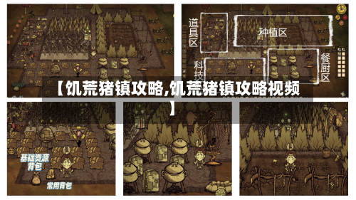 【饥荒猪镇攻略,饥荒猪镇攻略视频】-第3张图片
