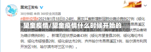 望奎疫情/望奎疫情什么时候开始的