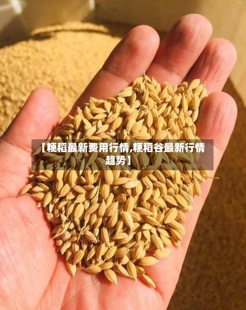 【粳稻最新费用行情,粳稻谷最新行情趋势】-第3张图片