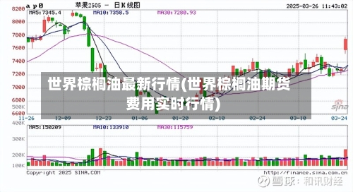 世界棕榈油最新行情(世界棕榈油期货费用实时行情)