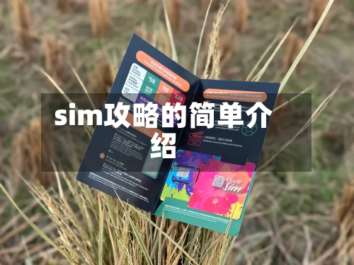 sim攻略的简单介绍-第3张图片