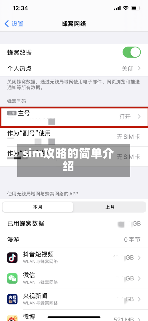 sim攻略的简单介绍