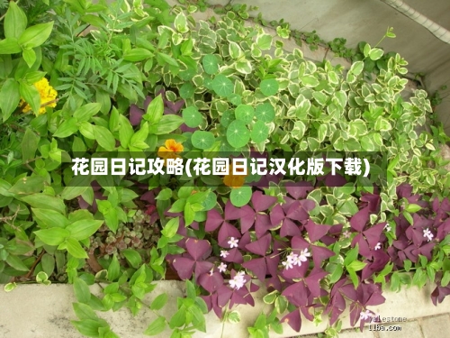 花园日记攻略(花园日记汉化版下载)-第3张图片