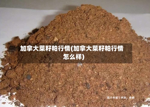加拿大菜籽粕行情(加拿大菜籽粕行情怎么样)