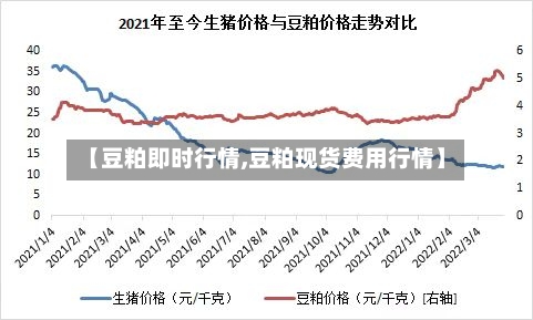 【豆粕即时行情,豆粕现货费用行情】
