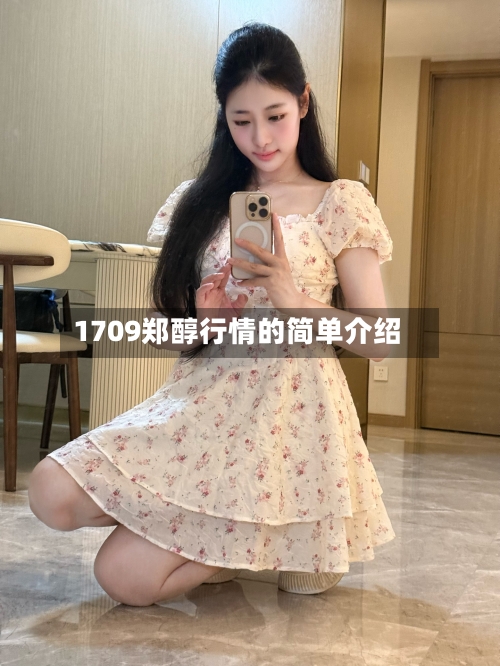 1709郑醇行情的简单介绍