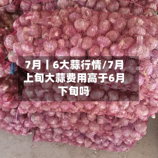 7月丨6大蒜行情/7月上旬大蒜费用高于6月下旬吗