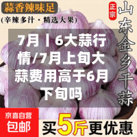 7月丨6大蒜行情/7月上旬大蒜费用高于6月下旬吗-第3张图片