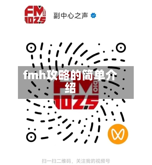 fmh攻略的简单介绍