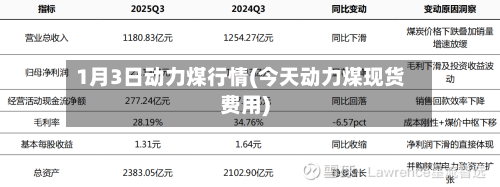 1月3日动力煤行情(今天动力煤现货费用)
