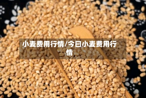 小麦费用行情/今曰小麦费用行情