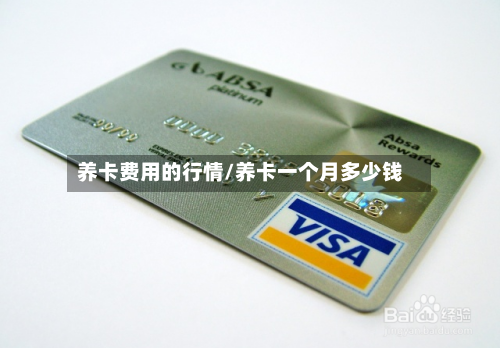 养卡费用的行情/养卡一个月多少钱-第1张图片