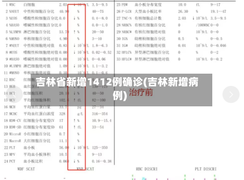 吉林省新增1412例确诊(吉林新增病例)-第2张图片
