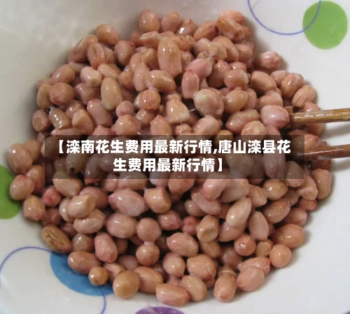 【滦南花生费用最新行情,唐山滦县花生费用最新行情】