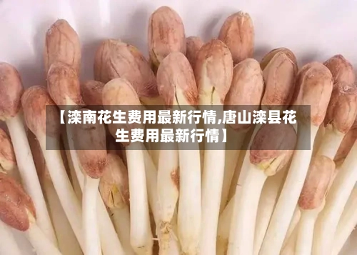 【滦南花生费用最新行情,唐山滦县花生费用最新行情】-第3张图片