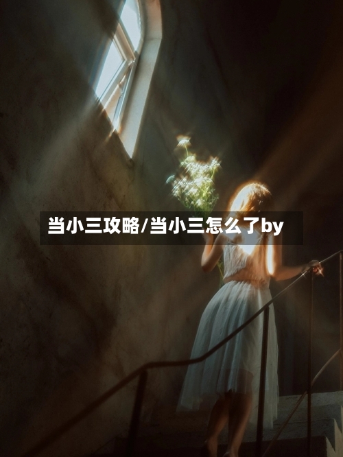 当小三攻略/当小三怎么了by