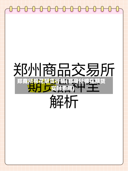 郑商所棉花期货行情(郑商所棉花期货实时费用)