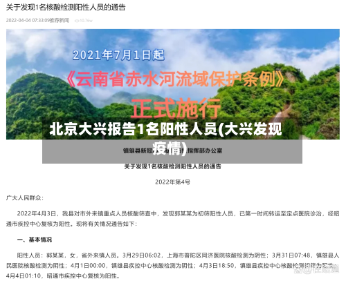 北京大兴报告1名阳性人员(大兴发现疫情)-第2张图片