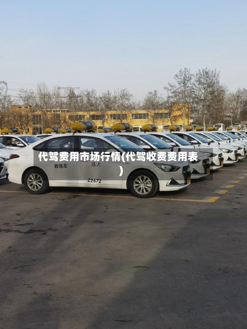 代驾费用市场行情(代驾收费费用表)