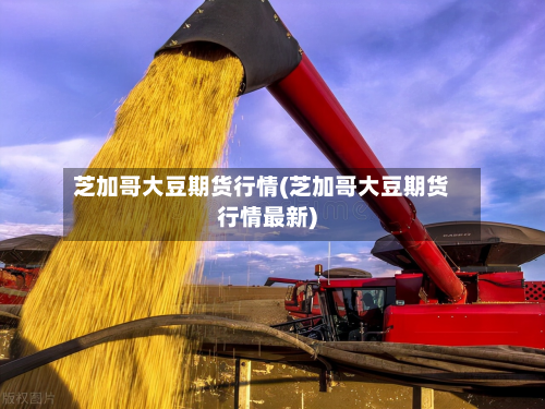 芝加哥大豆期货行情(芝加哥大豆期货行情最新)