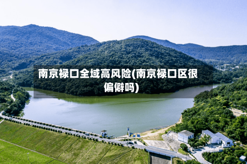 南京禄口全域高风险(南京禄口区很偏僻吗)-第2张图片