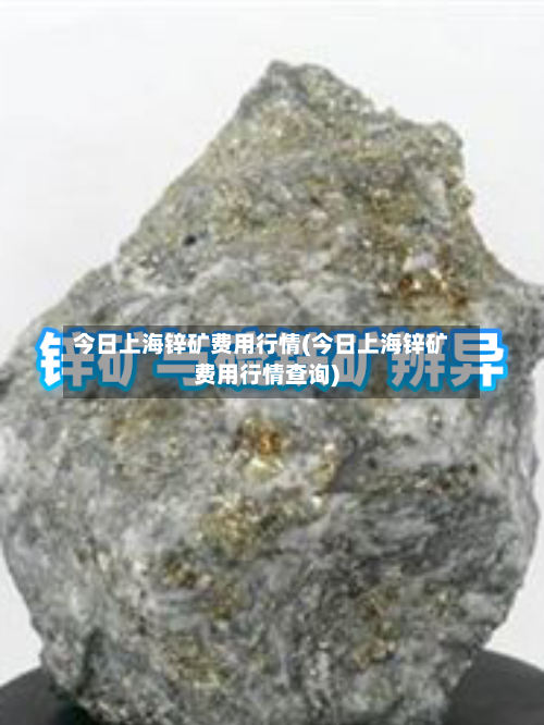 今日上海锌矿费用行情(今日上海锌矿费用行情查询)-第1张图片