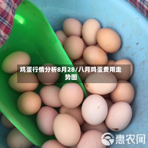 鸡蛋行情分析8月28/八月鸡蛋费用走势图-第3张图片