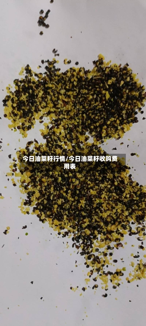 今日油菜籽行情/今日油菜籽收购费用表-第1张图片