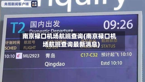 南京禄口机场航班查询(南京禄口机场航班查询最新消息)