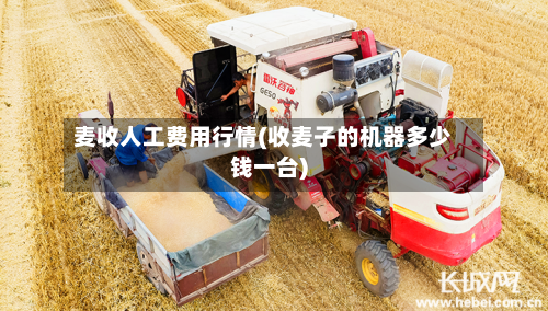 麦收人工费用行情(收麦子的机器多少钱一台)-第1张图片