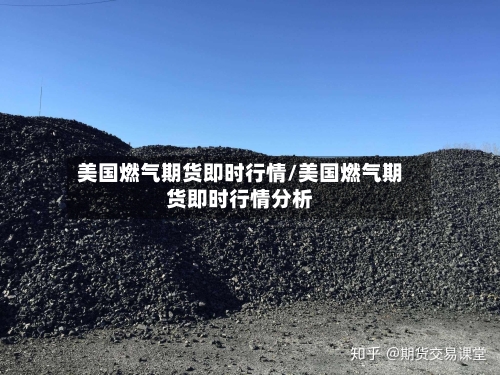 美国燃气期货即时行情/美国燃气期货即时行情分析