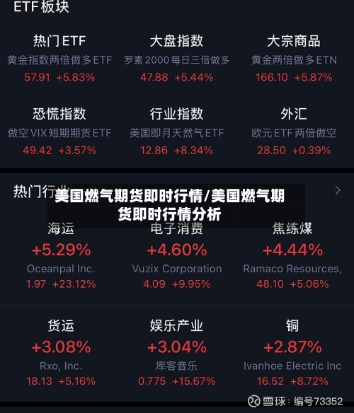 美国燃气期货即时行情/美国燃气期货即时行情分析-第2张图片