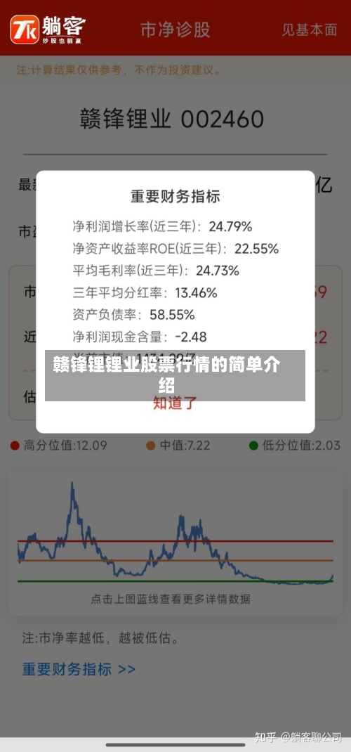 赣锋锂锂业股票行情的简单介绍-第3张图片