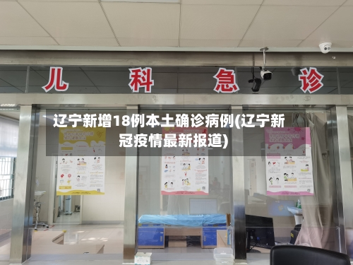 辽宁新增18例本土确诊病例(辽宁新冠疫情最新报道)