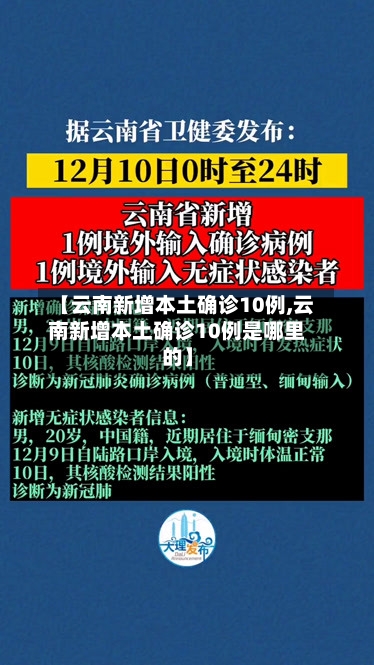 【云南新增本土确诊10例,云南新增本土确诊10例是哪里的】-第3张图片