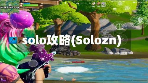 solo攻略(Solozn)-第1张图片