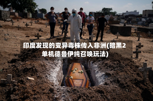 印度发现的变异毒株传入非洲(暗黑2单机德鲁伊纯召唤玩法)
