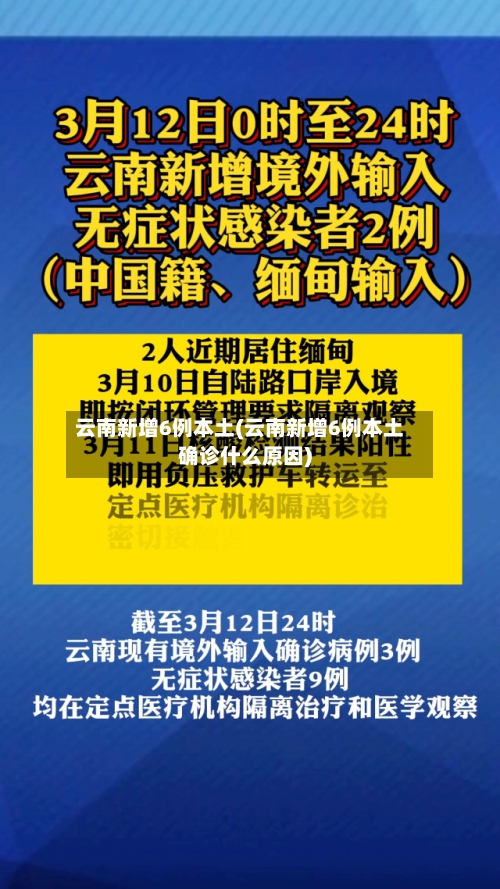 云南新增6例本土(云南新增6例本土确诊什么原因)-第3张图片