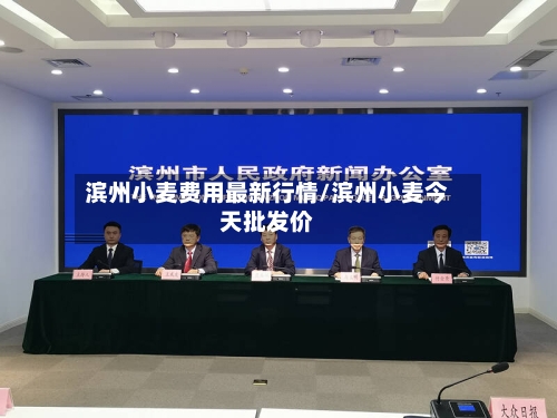 滨州小麦费用最新行情/滨州小麦今天批发价-第1张图片