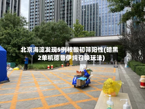 北京海淀发现5例核酸初筛阳性(暗黑2单机德鲁伊纯召唤玩法)-第3张图片