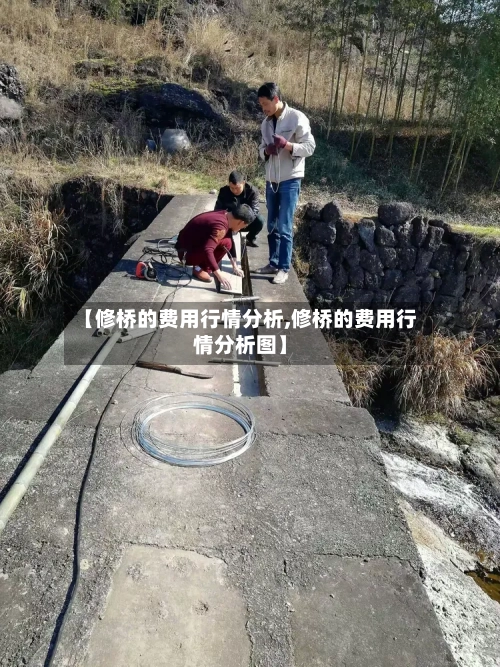 【修桥的费用行情分析,修桥的费用行情分析图】-第2张图片