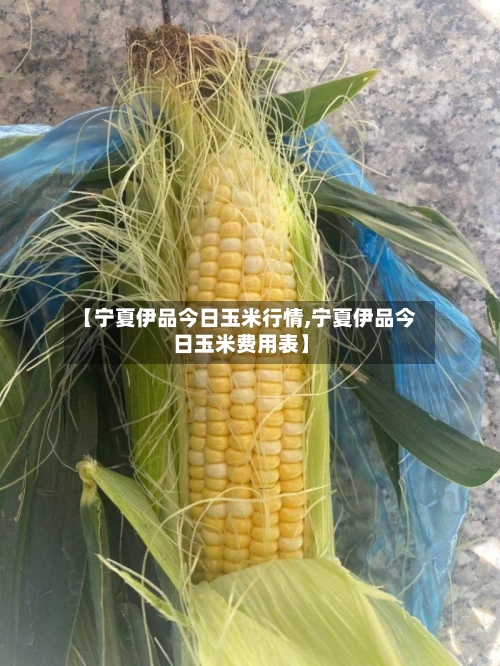 【宁夏伊品今日玉米行情,宁夏伊品今日玉米费用表】-第2张图片