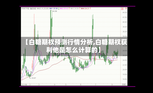【白糖期权预测行情分析,白糖期权获利他是怎么计算的】